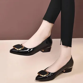 Femei Drăguț Subliniat Toe Albastri din Piele de Brevet de Primăvară Alunecare pe Pantofi cu Toc Pătrat Doamna Casual de Birou Negru Pompe Zapatos Mujer E1142