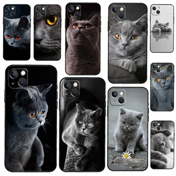 Frumos Gri Pisica British Shorthair de Caz Pentru iPhone 12 13 Mini-13 11 12 14 Pro Max XS X XR 6S 7 8 Plus SE 2020 Capac de Silicon